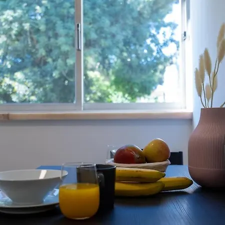 Apartamento Encarnacao Metro *
